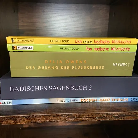 Sulzbachtal In Lahr, Naehe Europapark, Naehe Rulantica Apartamento *