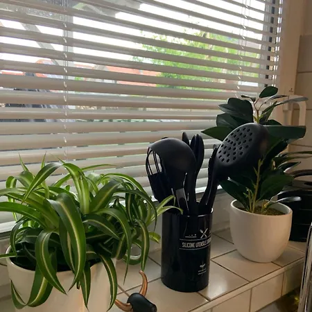 Sulzbachtal In Lahr, Naehe Europapark, Naehe Rulantica شقة *