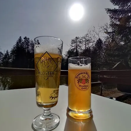 Apartamento Sulzbachtal In Lahr, Naehe Europapark, Naehe Rulantica Lahr (Baden-Wurttemberg)