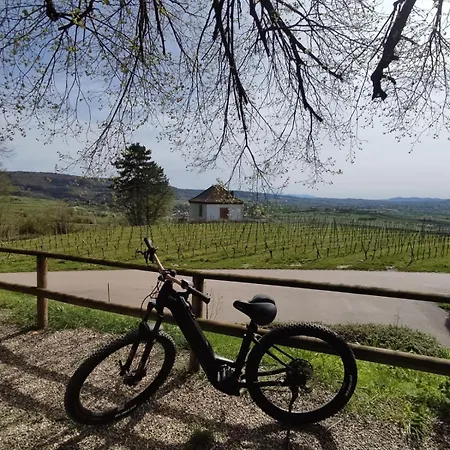 Sulzbachtal In Lahr, Naehe Europapark, Naehe Rulantica Apartamento